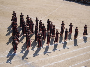 P1010013.JPG