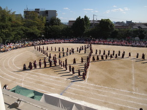 P1010050.JPGのサムネイル画像