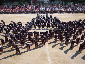 P1010073.JPG