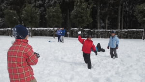 3235.jpg