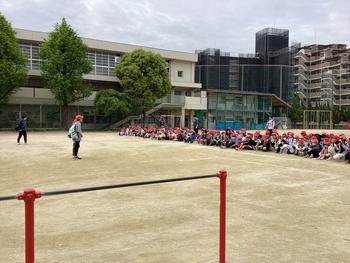 IMG_6441.jpeg