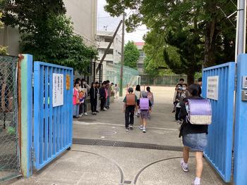 IMG_6510.jpeg