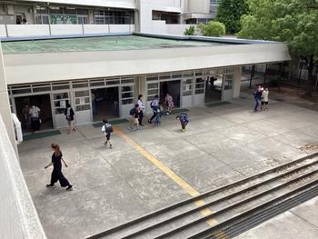 IMG_6536.jpeg