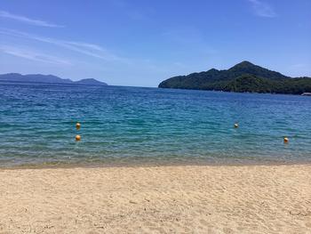 IMG_6858.jpeg