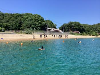 IMG_6942.jpeg