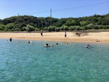 IMG_6950.jpeg