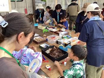 IMG_7086.jpeg