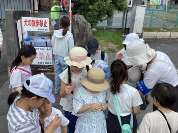 IMG_8425.jpeg