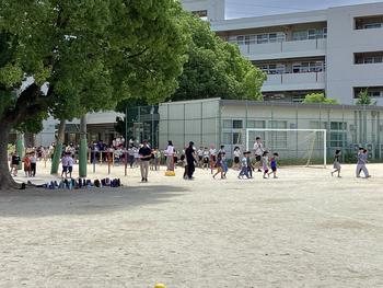 IMG_8527.jpeg