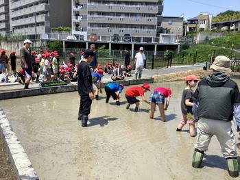 IMG_8623.jpeg