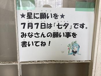 IMG_8676.jpeg