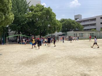 IMG_8761.jpeg