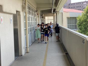 IMG_8771.jpeg
