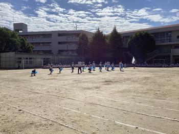 IMG_8918.jpeg