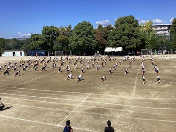 IMG_9009.jpeg