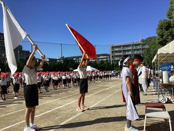 IMG_9020.jpeg