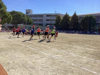 IMG_9055.jpeg