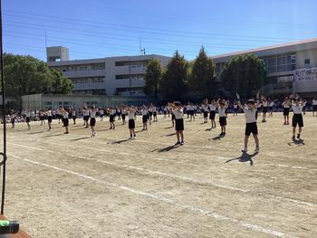 IMG_9058.jpeg