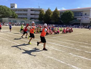 IMG_9086.jpeg