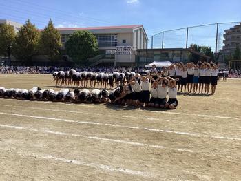 IMG_9094.jpeg