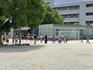 IMG_8527.jpeg