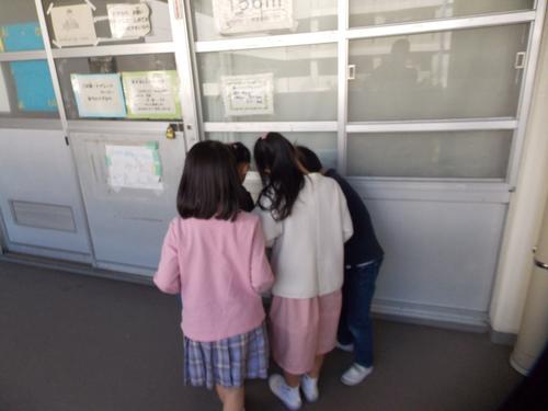 DSCN1235.JPG