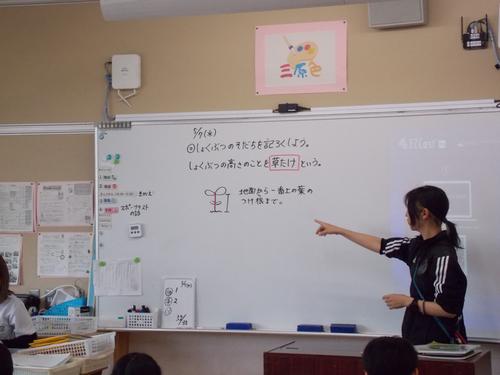 DSCN1312.JPG