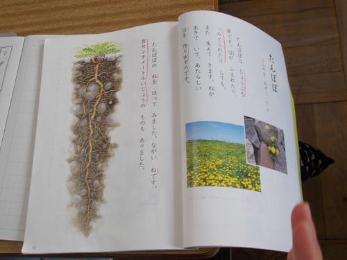 DSCN1324.JPG