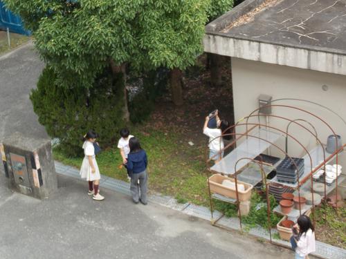 DSCN1503.JPG