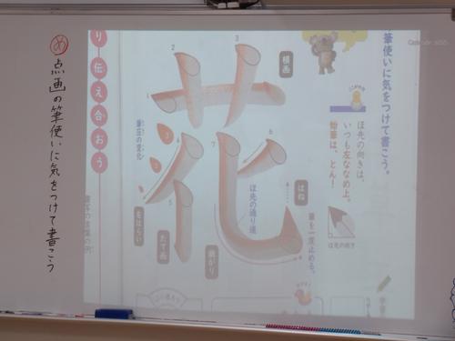 DSCN1599.JPG