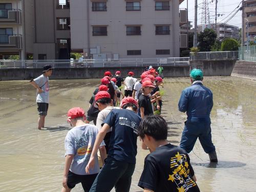 DSCN1674.JPG