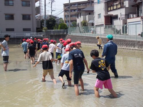 DSCN1675.JPG