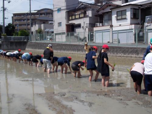 DSCN1676.JPG