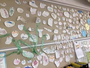 IMG_0229.jpeg