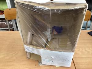 IMG_0223.jpeg