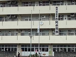 IMG_0246.jpeg