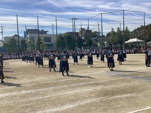 IMG_0395.jpeg