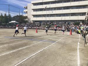 IMG_0372.jpeg