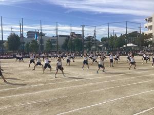 IMG_0374.jpeg