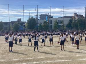 IMG_0380.jpeg