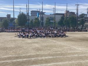 IMG_0381.jpeg