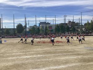 IMG_0382.jpeg