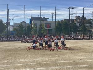 IMG_0383.jpeg