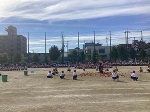 IMG_0386.jpeg