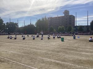 IMG_0387.jpeg