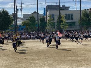 IMG_0394.jpeg