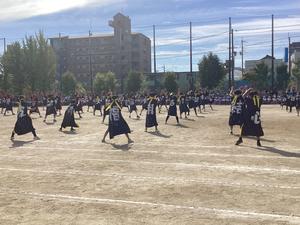 IMG_0396.jpeg