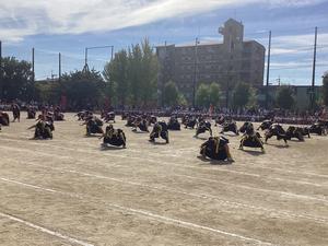 IMG_0400.jpeg