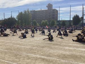 IMG_0404.jpeg