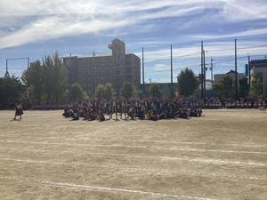 IMG_0412.jpeg